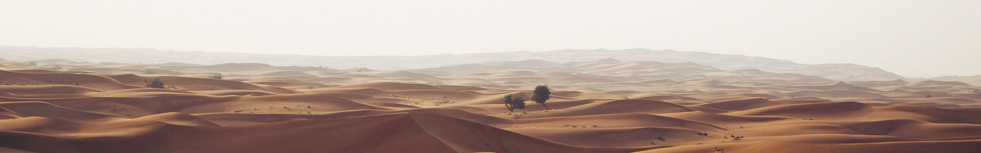 ݰó޹˾